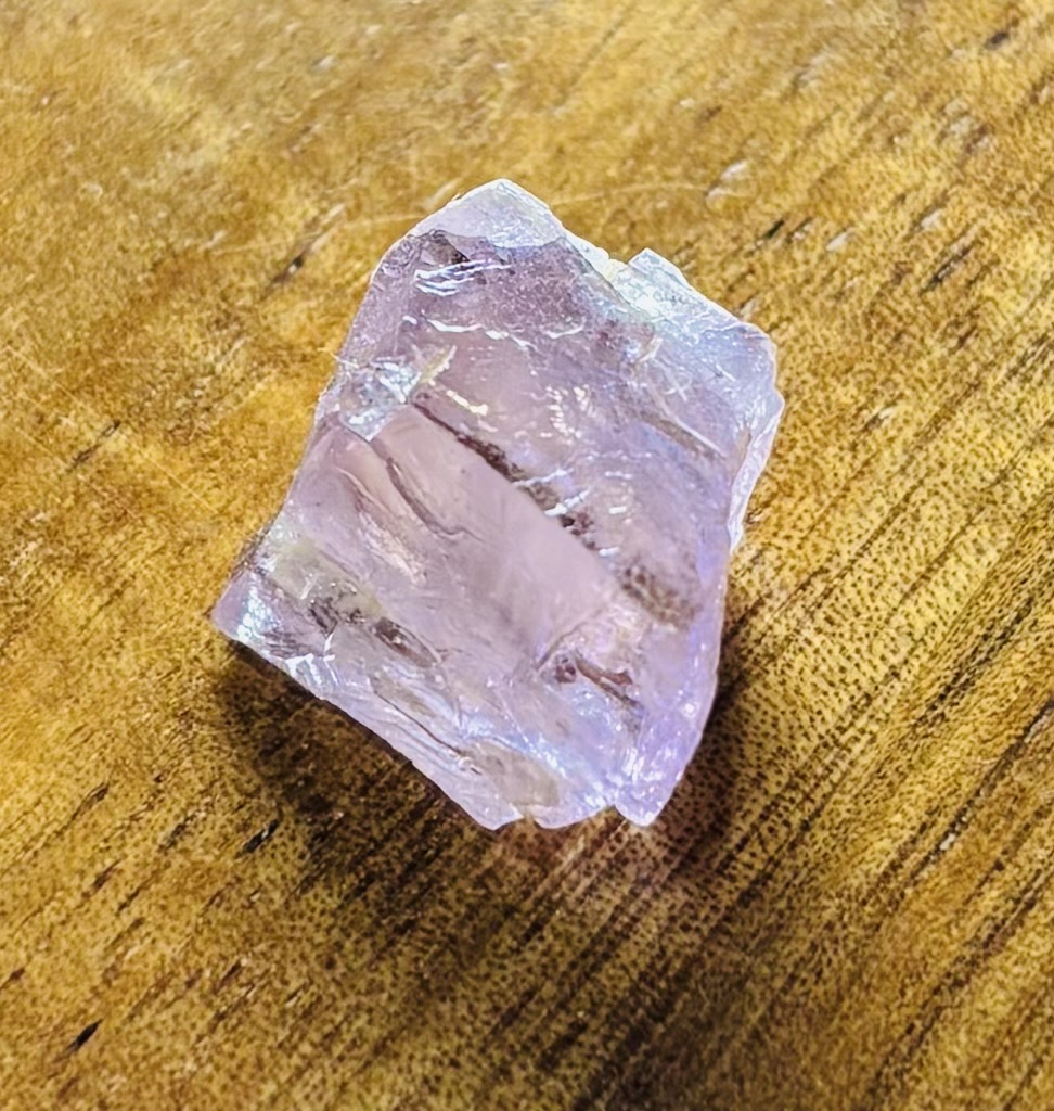 Kunzite — A New Chapter Begins to Bloom —